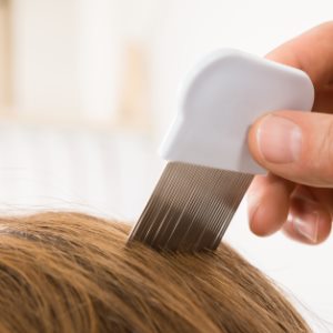 Head Lice Care